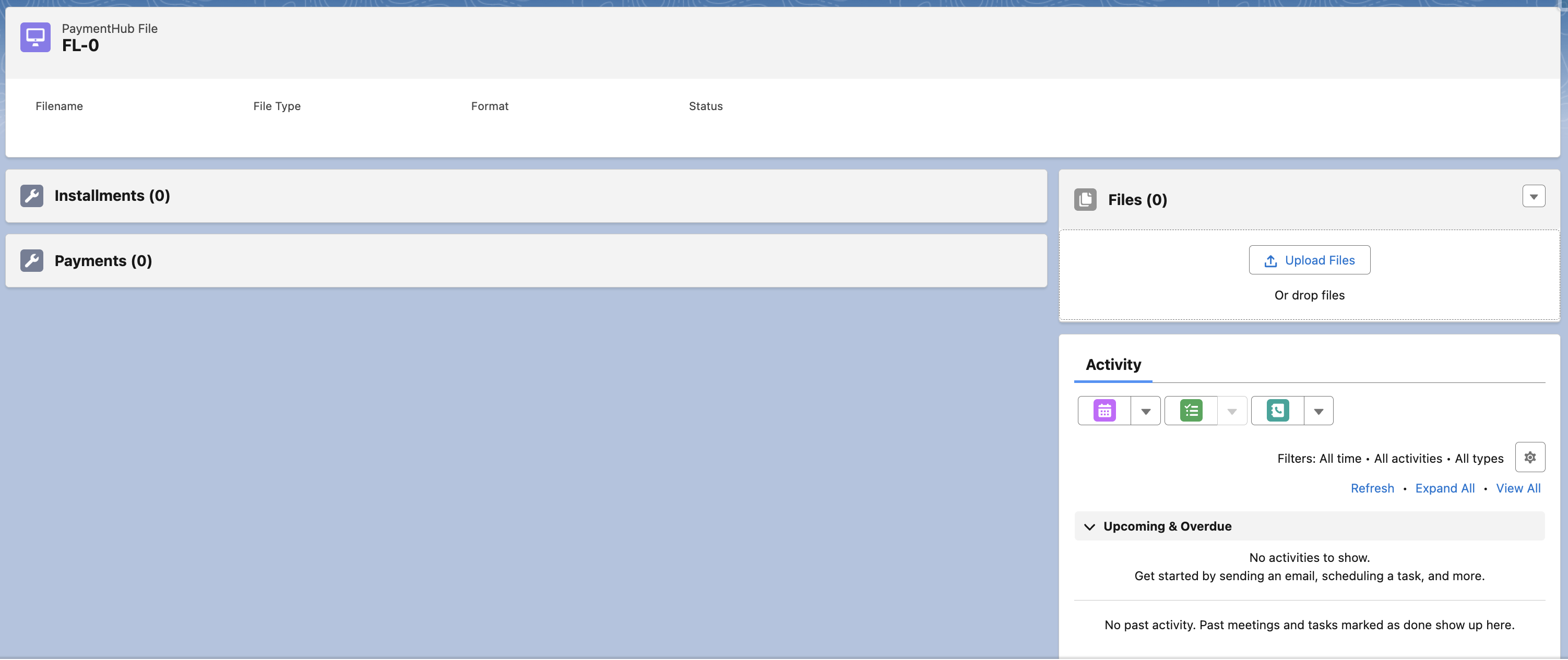 PaymentHub File page layout