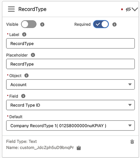 Record type as additional input field