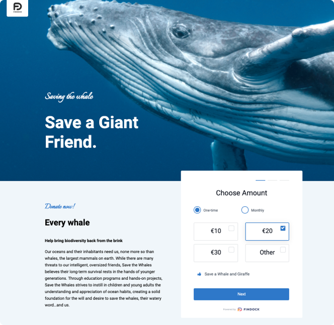Pages template Whale