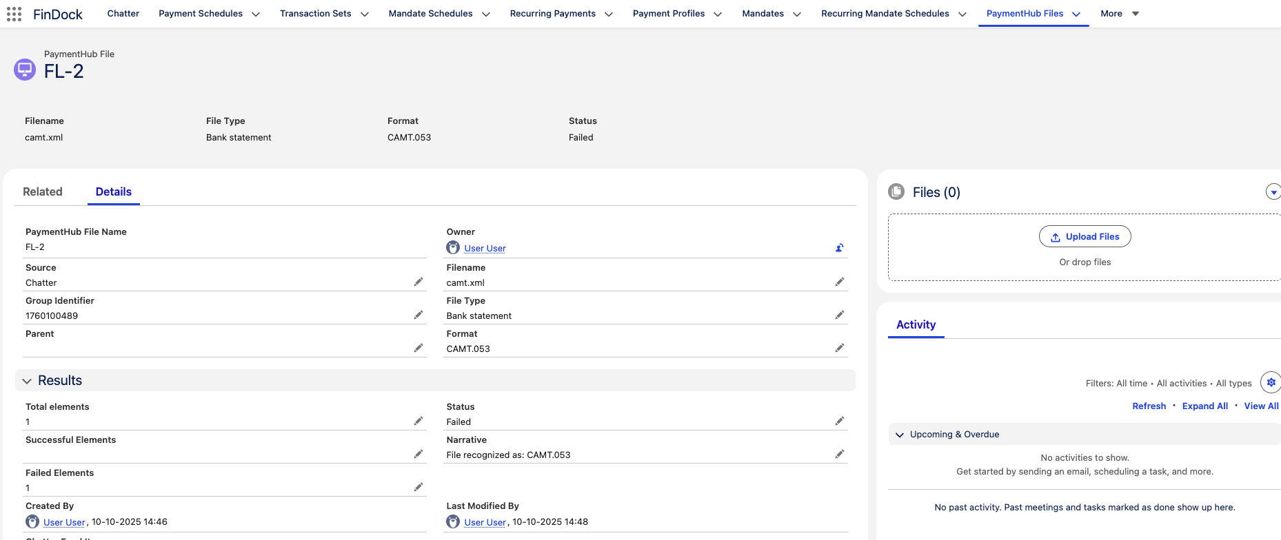 PaymentHub File page layout