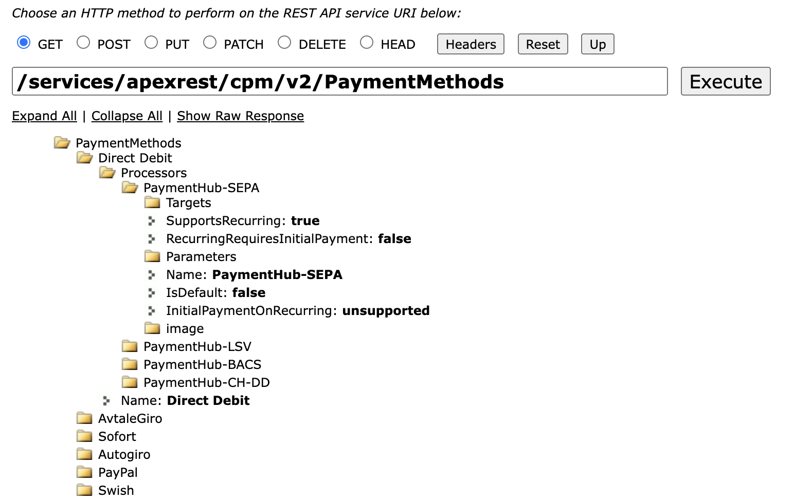 Salesforce Workbench Payment API testing