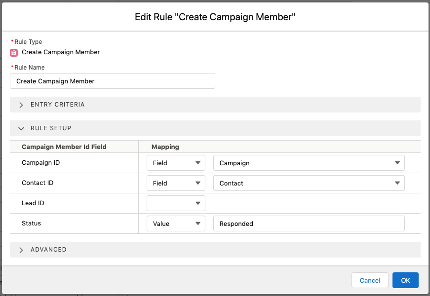 Guided Matching Create Campaign Member rule type
