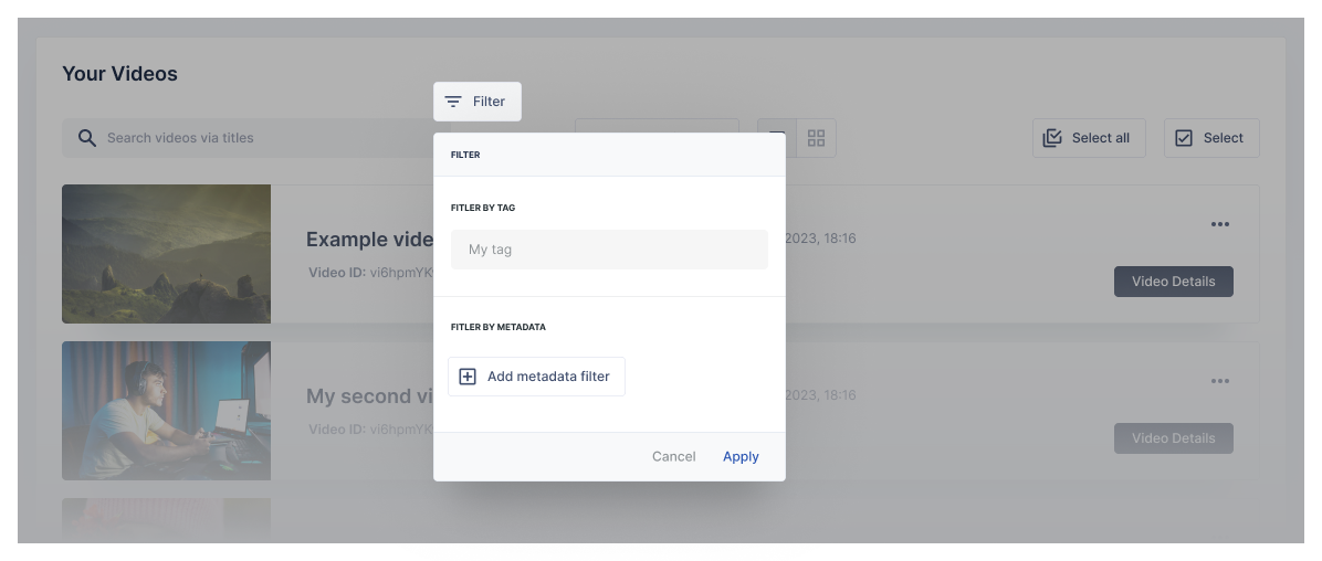 Video list filtering by tags or metadata in the api.video dashboard