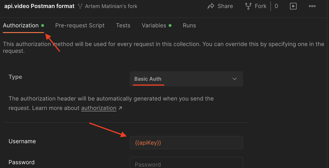 Adding the API key as a variable for Postman authorization